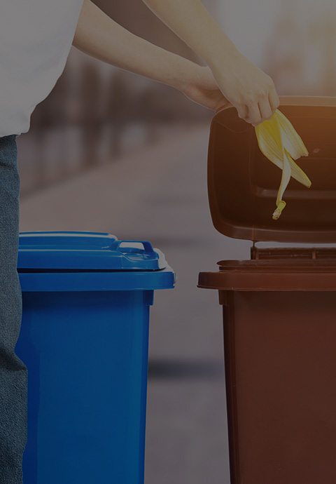 قالب سلة المهملات 